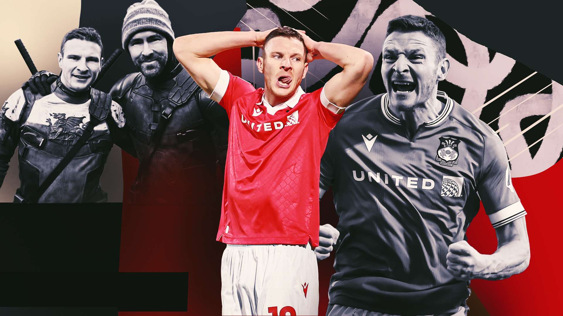 的欣赏早已 的欣赏早已